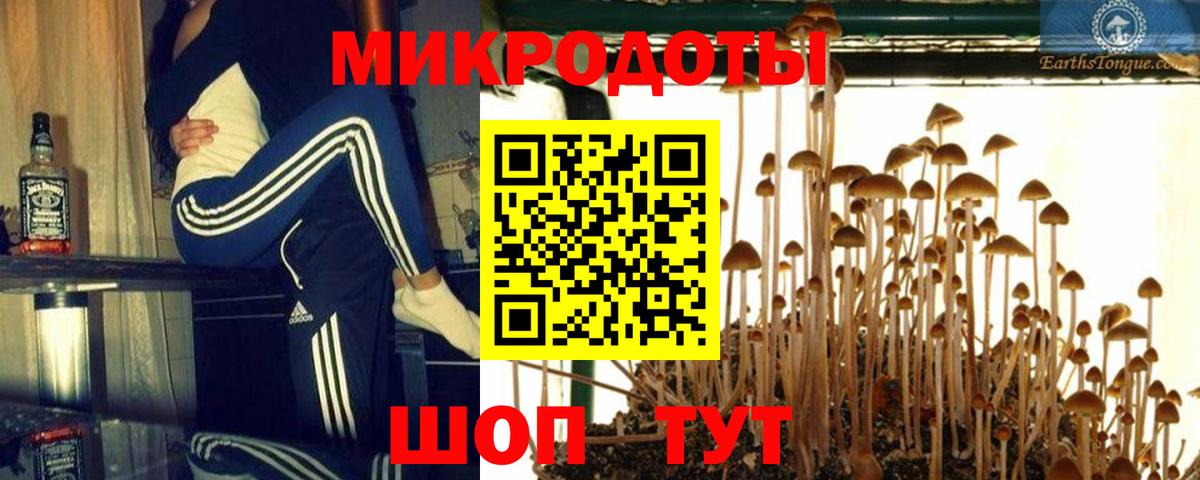 Псилоцибиновые грибы прущие грибы  Вход с VPN  Усинск 